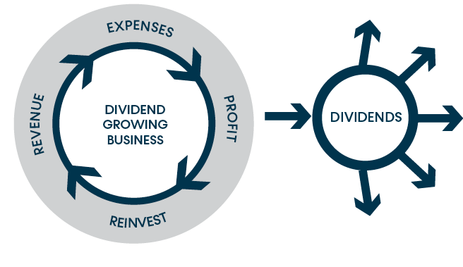 Dividend Growth Graphic